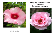 Arden Designs Breast Cancer Awareness Cards